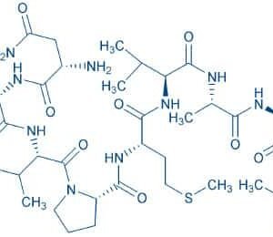 Human CMV pp65 (495-503)