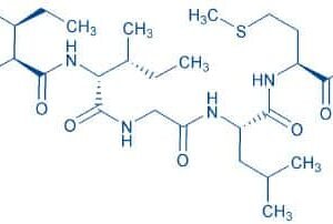 Amyloid β-Protein (31-35)