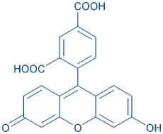 5-Carboxy-fluorescein