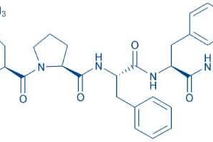 Acetyl-(Pro¹⁸,Asp²¹)-Amyloid β-Protein (17-21) amide