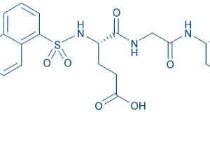 Dansyl-Glu-Gly-Arg-chloromethylketone