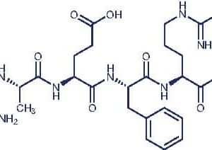 Amyloid β-Protein (1-6)