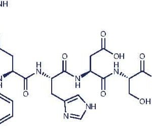 Amyloid β-Protein (1-12)