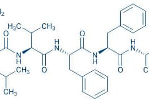 Amyloid β-Protein (16-22)
