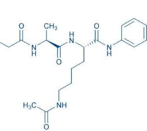 Ac-Gly-Ala-Lys(Ac)-AMC