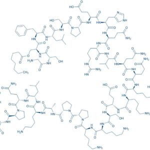 ([¹³C₆]Leu⁵)-Ghrelin (human)