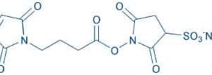 Sulfo-N-succinimidyl 4-maleimidobutyrate sodium salt