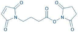4-Maleimidobutyric acid N-hydroxysuccinimide ester
