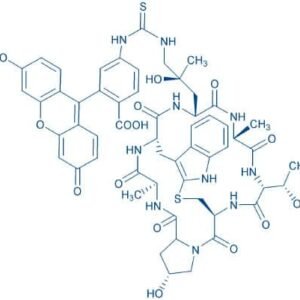 ((R)-4-Hydroxy-4-methyl-Orn(FITC)⁷)-Phalloidin