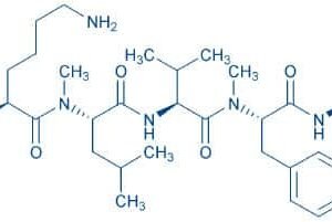Acetyl-(N-Me-Leu¹⁷,N-Me-Phe¹⁹)-Amyloid β-Protein (16-20) amide