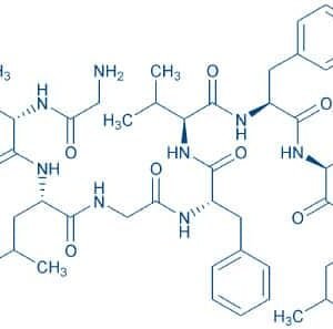 Matrix Protein M1 (58-66) (Influenza A virus)